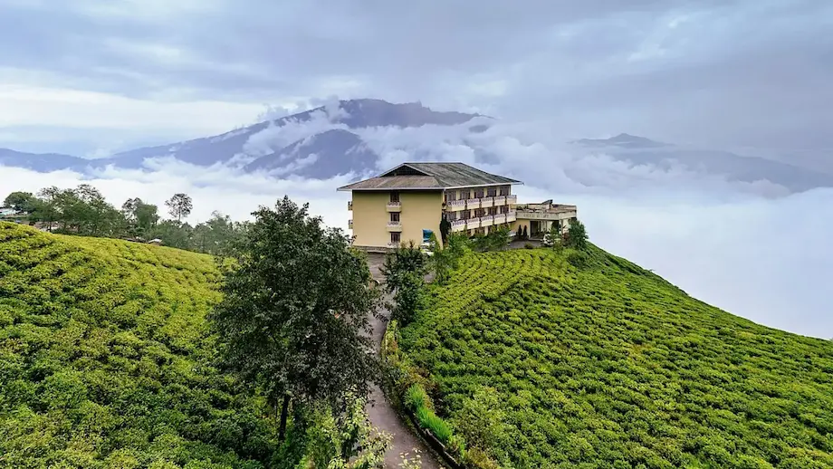 Assam Tea Houses